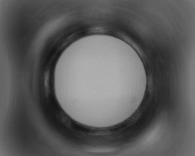 X0000096991150200802080914