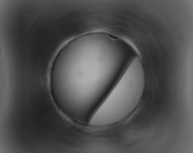 X0000096991151200802080914