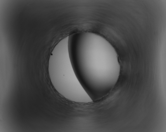 X0000096991153200802080914