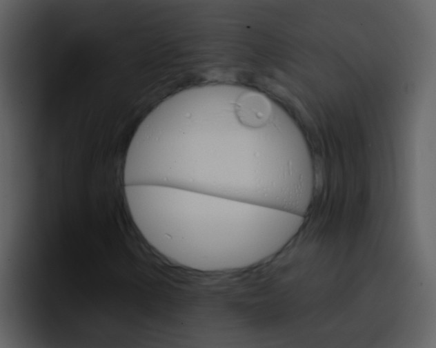X0000096991154200802080914