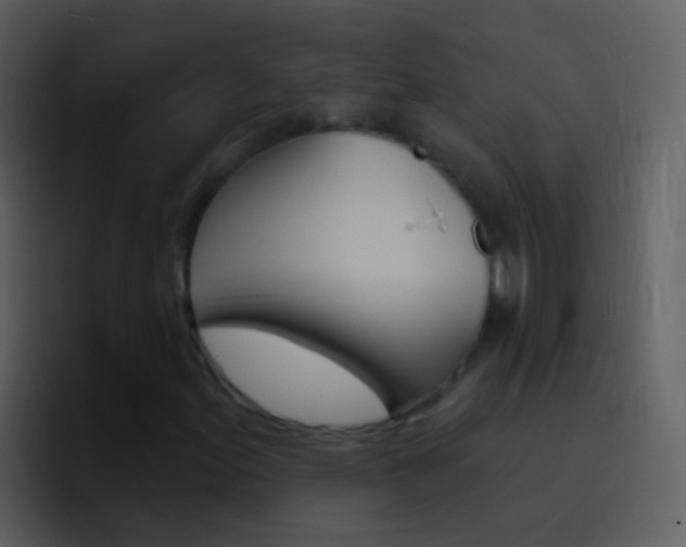 X0000096991155200802080914