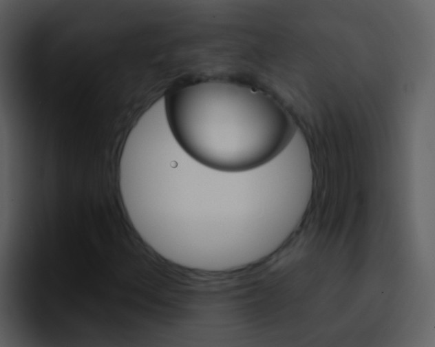 X0000096991156200802080914