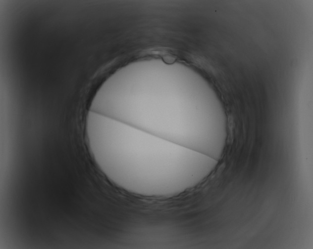 X0000096991158200802080914