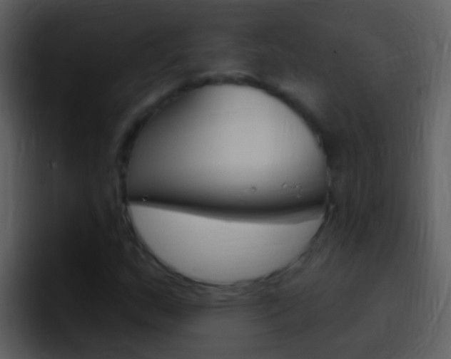 X0000096991159200802080914