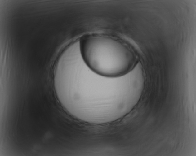 X0000096991160200802080914