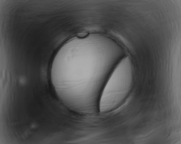 X0000096991162200802080913