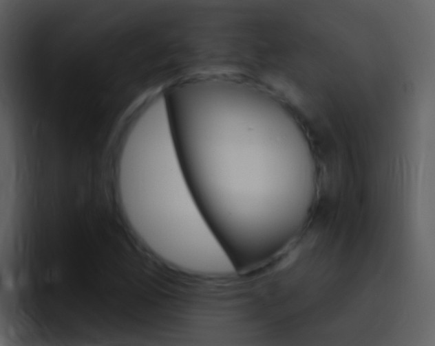 X0000096991165200802080913