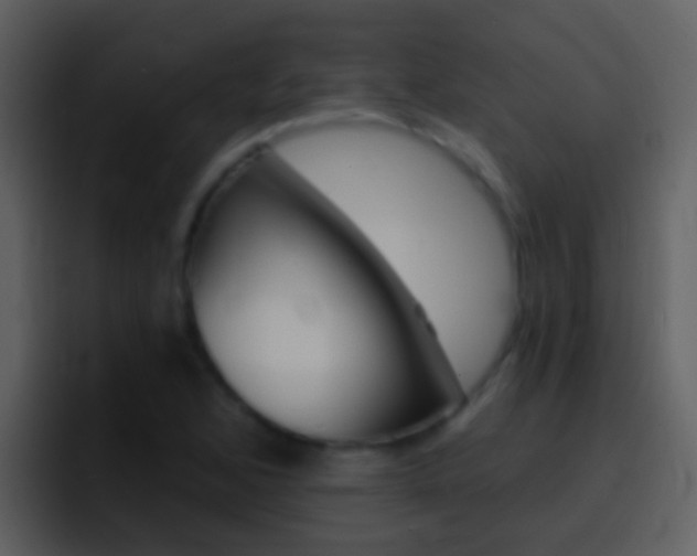 X0000096991168200802080913