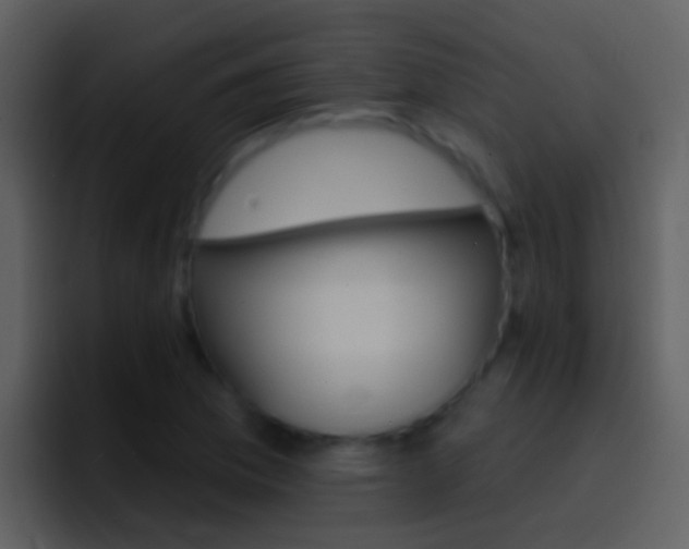 X0000096991169200802080913