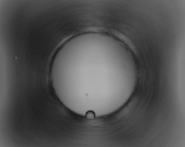 X0000096991170200802080913