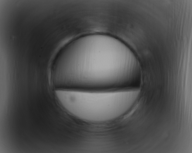 X0000096991171200802080913