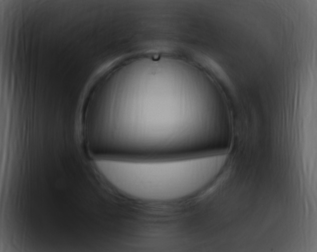 X0000096991172200802080913