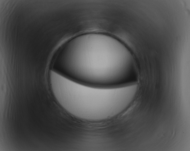 X0000096991173200802080913