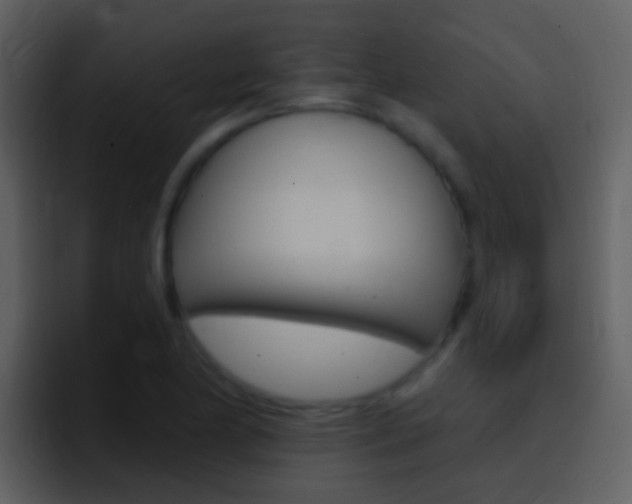 X0000096991174200802080913
