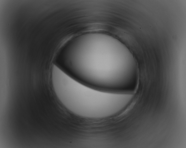 X0000096991177200802080913