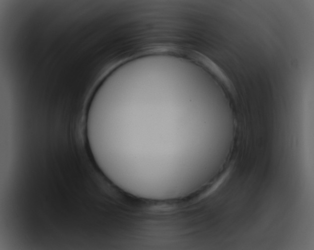 X0000096991178200802080913