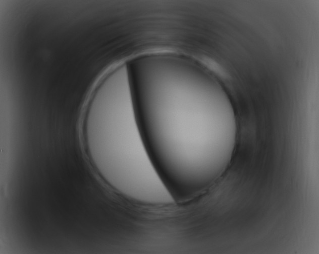 X0000096991181200802080913