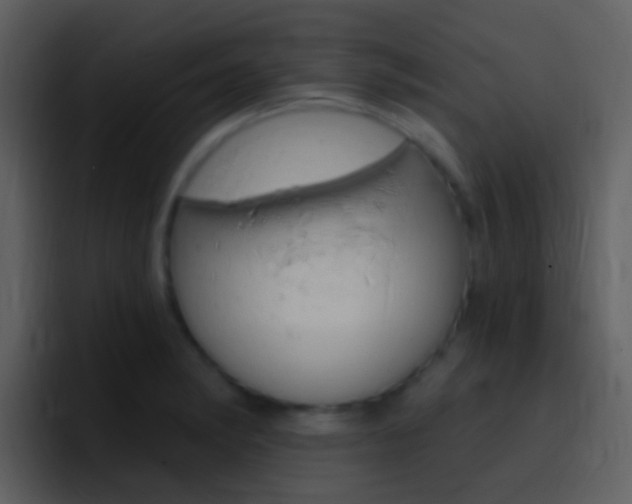 X0000096991182200802080913