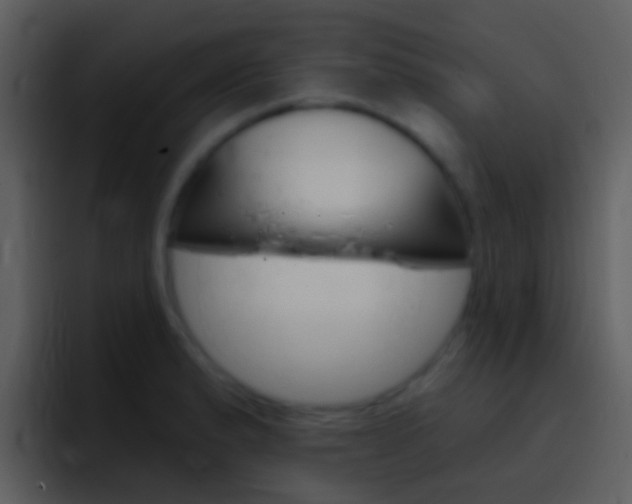 X0000096991183200802080913