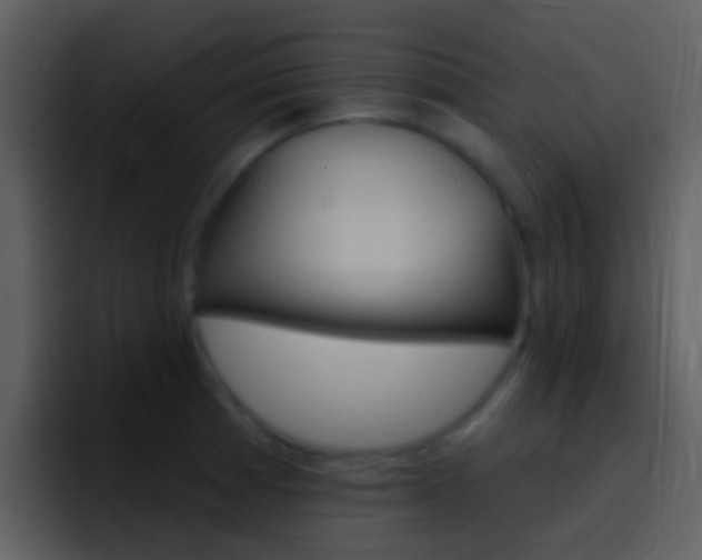 X0000096991185200802080913