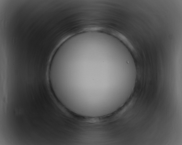 X0000096991186200802080913