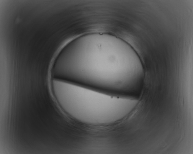 X0000096991187200802080913