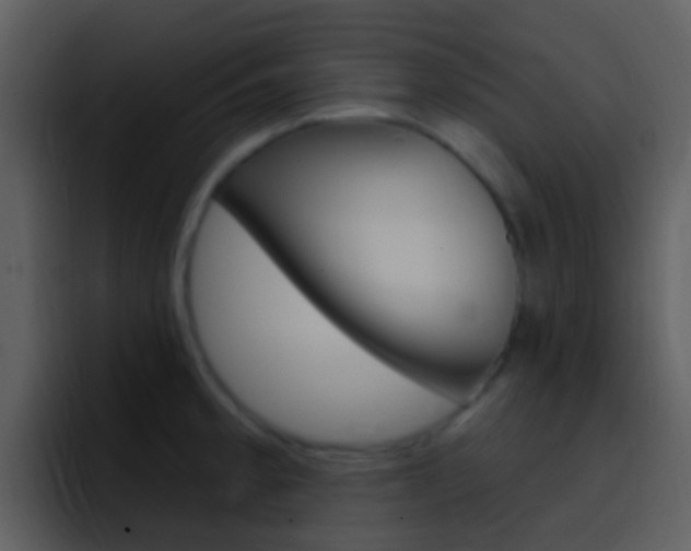 X0000096991189200802080913