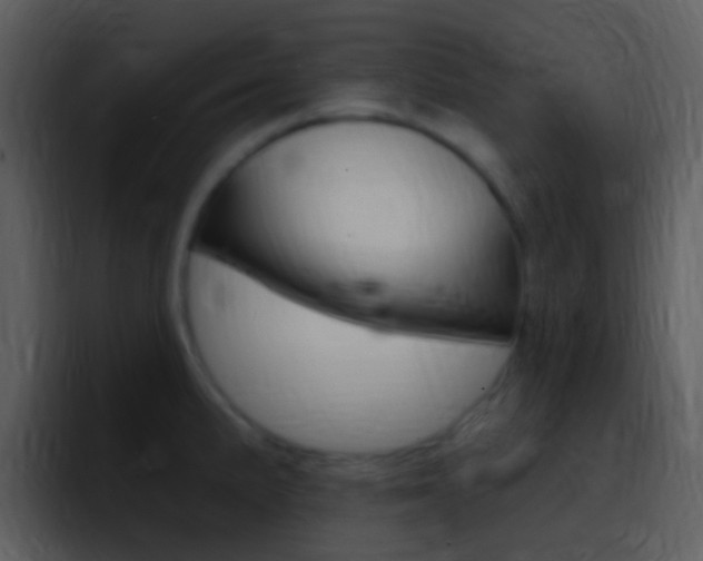 X0000096991191200802080913