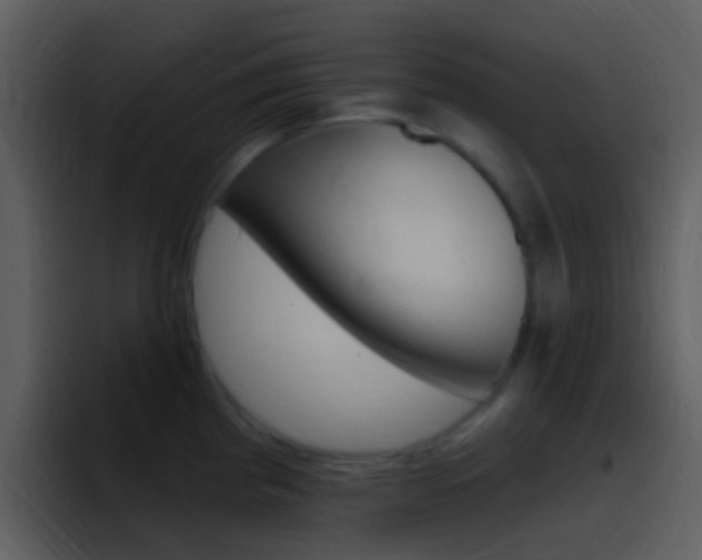 X0000096991193200802080913