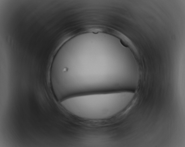 X0000096991194200802080913