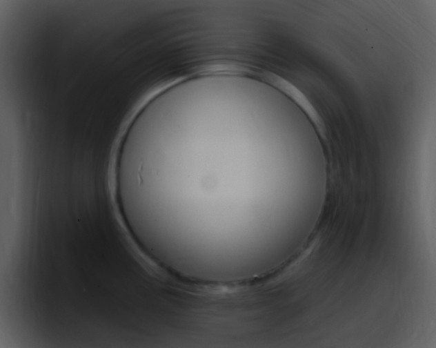 X0000096991195200802080913