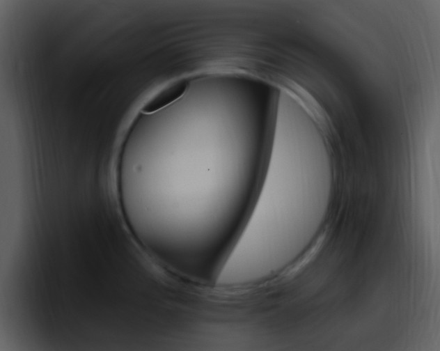 X0000096991196200802080913