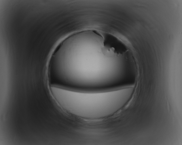 X0000096991200200802080913