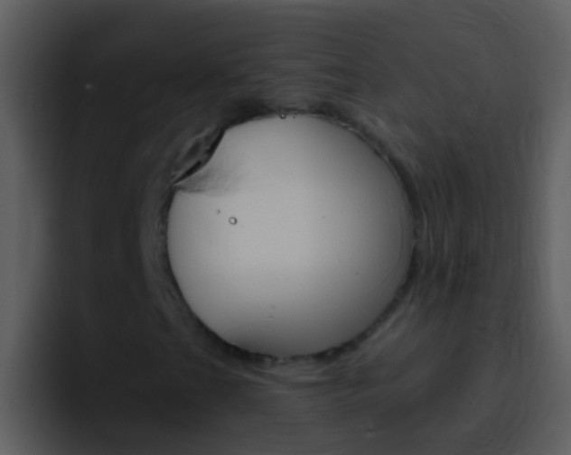 X0000096991201200802080912