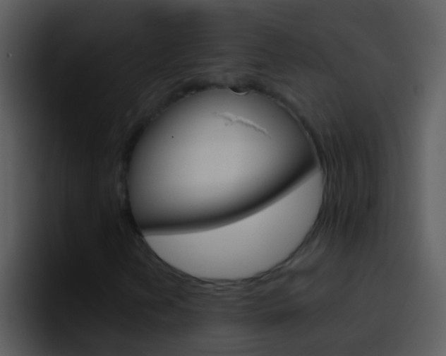 X0000096991202200802080912