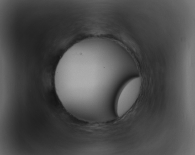 X0000096991205200802080912