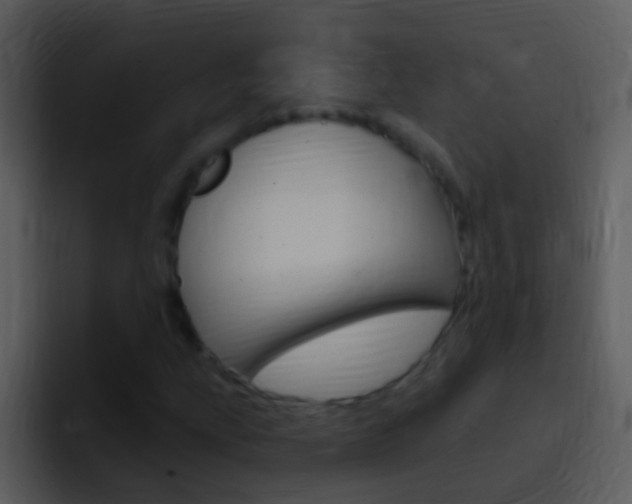 X0000096991207200802080912
