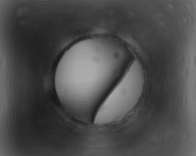 X0000096991208200802080912