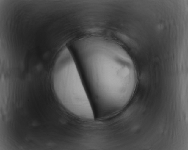 X0000096991209200802080912