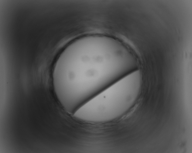 X0000096991215200802080913