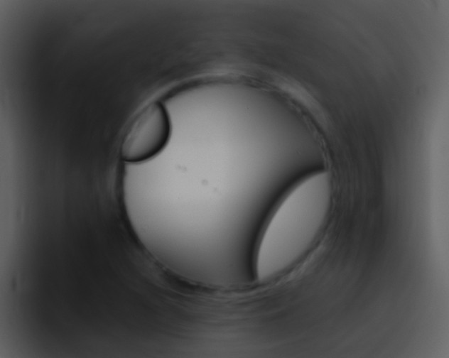 X0000096991216200802080913