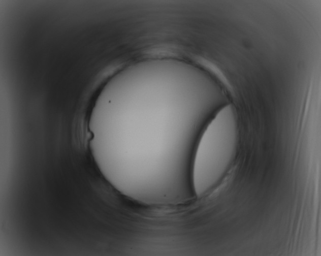 X0000096991219200802080913
