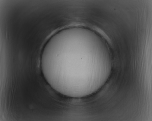 X0000096991220200802080913