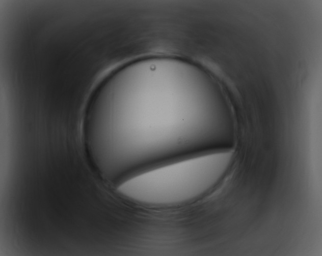 X0000096991222200802080913