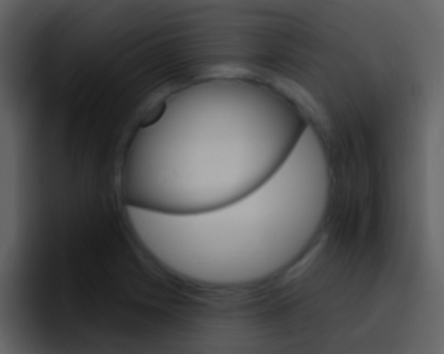X0000096991225200802080913