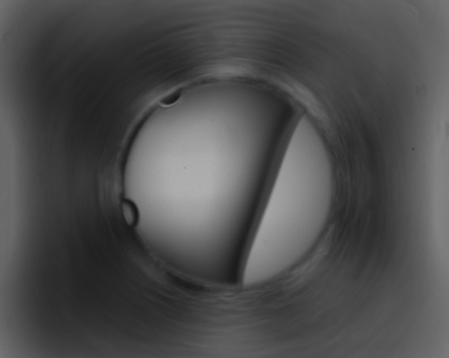 X0000096991226200802080913