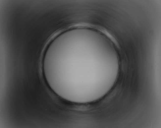 X0000096991229200802080913