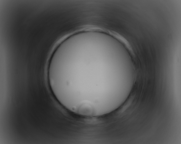 X0000096991231200802080913