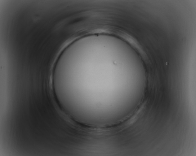 X0000096991234200802080913
