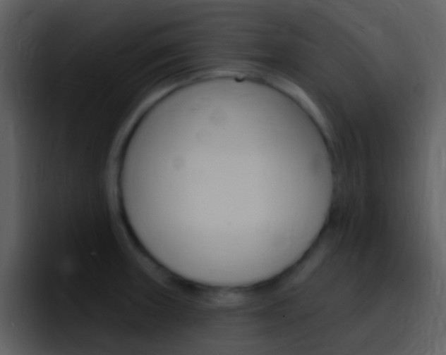 X0000096991235200802080913